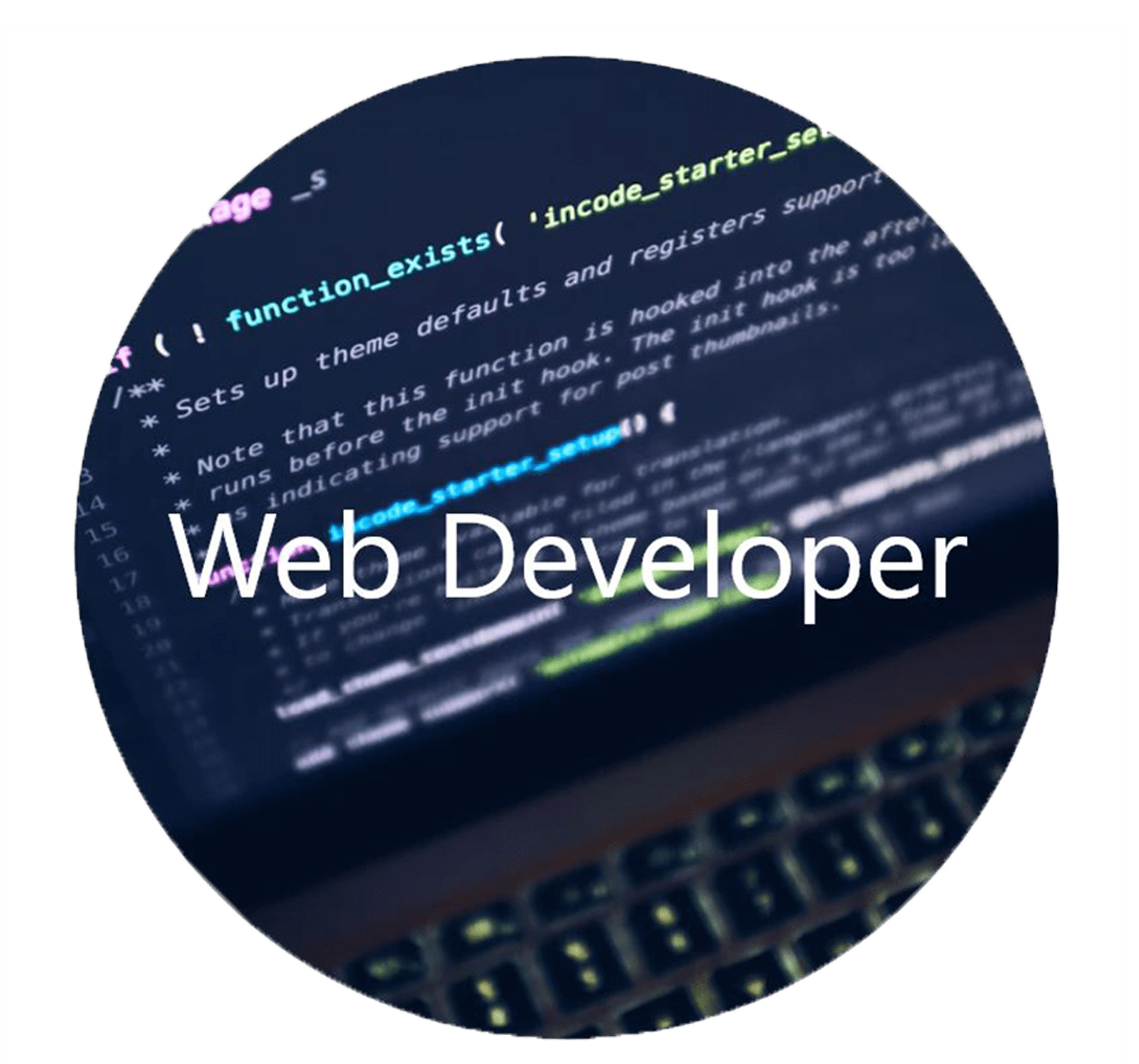 Web Developer