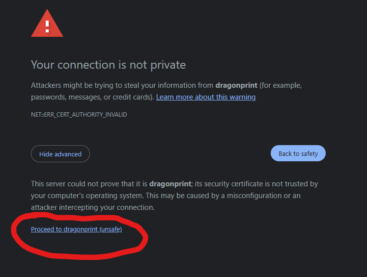 Screenshot of the dragon print security warning.